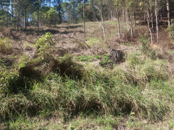 Imagem Terreno à Venda, 6.765 m² em Ouro Fino Paulista - Ribeirão Pires