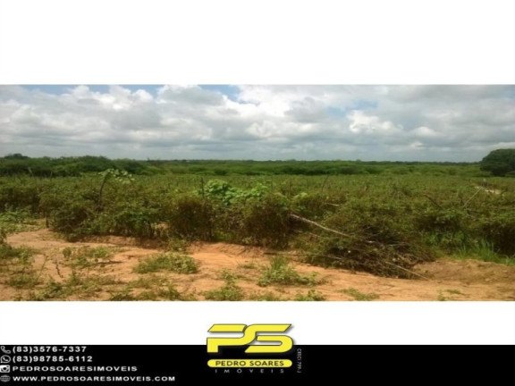 Imagem Imóvel para Alugar, 6.300 m² em Taperoá - Taperoá Imagem Imóvel para Alugar, 6.300 m² em Taperoá - Taperoá
