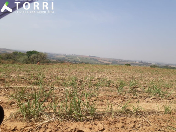 Imagem Imóvel com 1 Quarto à Venda, 242.000 m² em Centro - Capivari Imagem Imóvel com 1 Quarto à Venda, 242.000 m² em Centro - Capivari