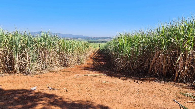 Imagem Imóvel à Venda, 1.458.746 m² em Caguaçu - Sorocaba Imagem Imóvel à Venda, 1.458.746 m² em Caguaçu - Sorocaba