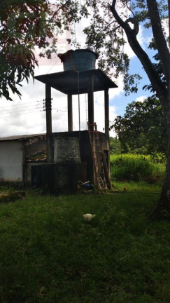 Imagem Fazenda à Venda, em Castanhal Imagem Fazenda à Venda, em Castanhal