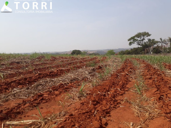 Imagem Imóvel com 1 Quarto à Venda, 242.000 m² em Centro - Capivari Imagem Imóvel com 1 Quarto à Venda, 242.000 m² em Centro - Capivari