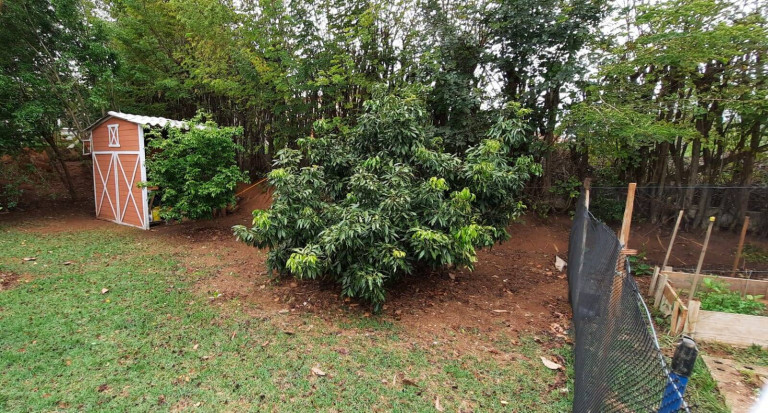 Imagem Chácara com 3 Quartos à Venda, 1.000 m² em Centro - Boituva Imagem Chácara com 3 Quartos à Venda, 1.000 m² em Centro - Boituva