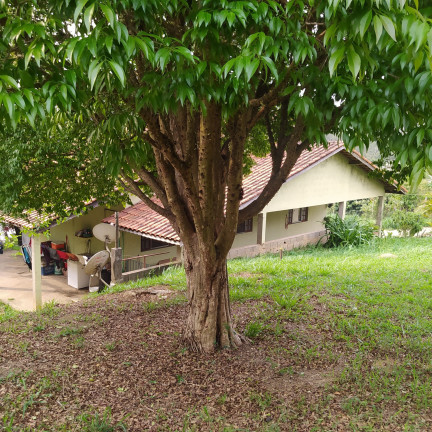 Imagem Fazenda à Venda, 1.000 m² em Vera Tereza - Caieiras