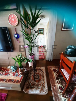 Imagem Apartamento com 3 Quartos à Venda, 80 m² em Vila Mascote - São Paulo Imagem Apartamento com 3 Quartos à Venda, 80 m² em Vila Mascote - São Paulo
