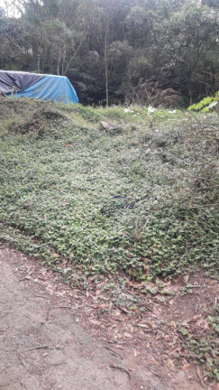 Imagem Terreno à Venda ou Locação, 4.500 m² em Jardim Colibri - Cotia Imagem Terreno à Venda ou Locação, 4.500 m² em Jardim Colibri - Cotia