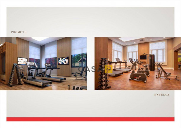 Imagem Apartamento com 3 Quartos à Venda, 256 m² em Cambuí - Campinas Imagem Apartamento com 3 Quartos à Venda, 256 m² em Cambuí - Campinas