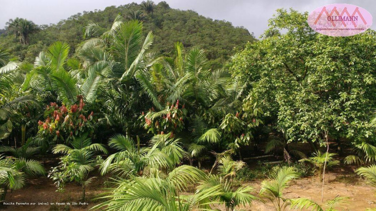 Imagem Imóvel com 1 Quarto à Venda, 83 m² em Plantação Com Certificação Orgânica Para O Brasil E Para A Europa. - Peruíbe