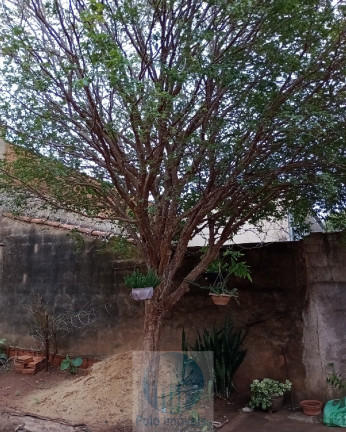 Imagem Casa com 3 Quartos à Venda, 280 m² em Vila Tamandaré - Ribeirão Preto Imagem Casa com 3 Quartos à Venda, 280 m² em Vila Tamandaré - Ribeirão Preto