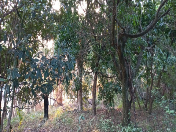 Imagem Terreno para Alugar ou Temporada, 1.510 m² em Jardim Pacaembu - Jundiaí Imagem Terreno para Alugar ou Temporada, 1.510 m² em Jardim Pacaembu - Jundiaí