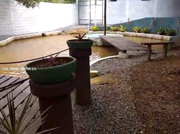 Imagem Imóvel com 3 Quartos à Venda, 1.800 m² em Depois Do Centro - Ibiúna Imagem Imóvel com 3 Quartos à Venda, 1.800 m² em Depois Do Centro - Ibiúna