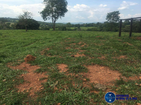 Imagem Chácara à Venda, 24 m² em Zona Rural - Petrolina De Goiás Imagem Chácara à Venda, 24 m² em Zona Rural - Petrolina De Goiás