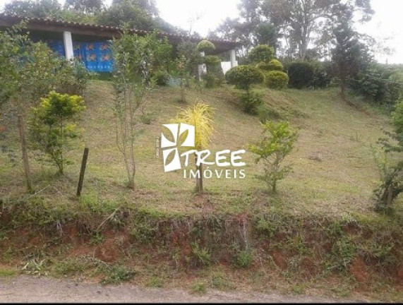 Imagem Imóvel com 3 Quartos à Venda, 3.200 m² em Pouso Alegre - Santa Isabel Imagem Imóvel com 3 Quartos à Venda, 3.200 m² em Pouso Alegre - Santa Isabel