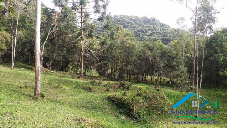 Imagem Terreno à Venda, 10.794 m² em Centro - Gonçalves
