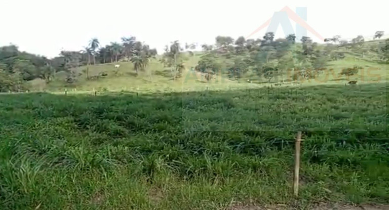Imagem Fazenda à Venda, 302 m² em Divinópolis
