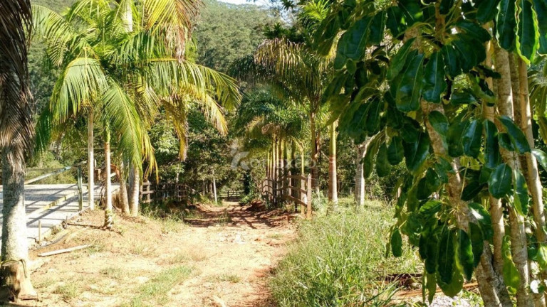 Imagem Fazenda à Venda, 500 m² em Pernambucana - Paraibuna Imagem Fazenda à Venda, 500 m² em Pernambucana - Paraibuna