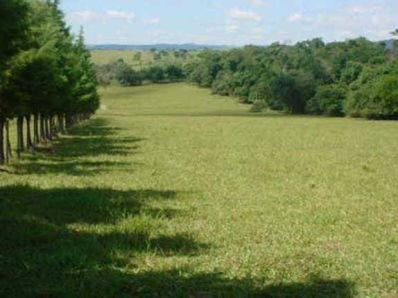 Imagem Chácara com 3 Quartos à Venda, 42.000 m² em Rural - Piratininga Imagem Chácara com 3 Quartos à Venda, 42.000 m² em Rural - Piratininga