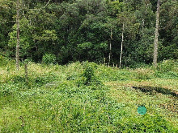 Imagem Imóvel com 3 Quartos à Venda, 350.000 m² em Zona Rural - Bom Retiro Imagem Imóvel com 3 Quartos à Venda, 350.000 m² em Zona Rural - Bom Retiro