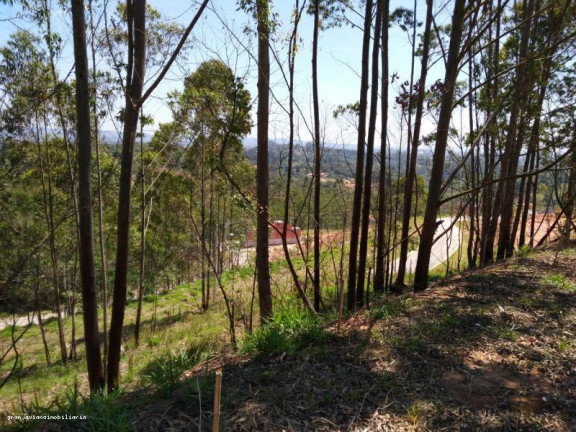 Imagem Terreno à Venda, 125 m² em Di Napoli - Cotia Imagem Terreno à Venda, 125 m² em Di Napoli - Cotia
