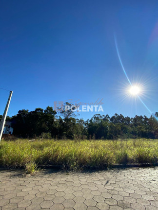 Terreno à Venda, 396 m² em Vila Macarini - Criciúma