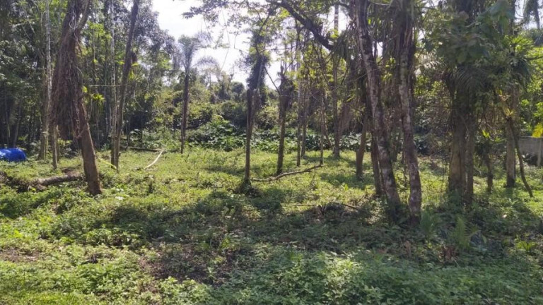 Terreno à Venda, 120 m² em Bertioga - São Paulo