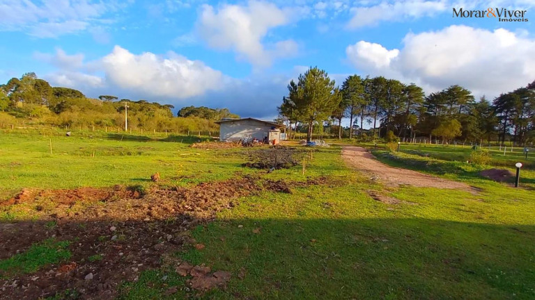 Imagem Chácara à Venda, 32.800 m² em Ambrósio - Tijucas Do Sul