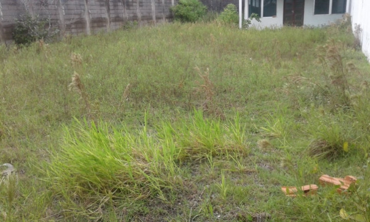 Imagem Terreno à Venda, 300 m² em Cibratel I - Itanhaém Imagem Terreno à Venda, 300 m² em Cibratel I - Itanhaém