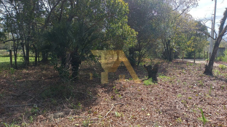 Imagem Terreno à Venda, em Alto Arroio - Imbituba Imagem Terreno à Venda, em Alto Arroio - Imbituba