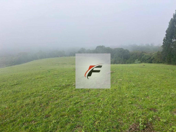 Imagem Chácara com 3 Quartos à Venda, 242.000 m² em Centro - Lapa Imagem Chácara com 3 Quartos à Venda, 242.000 m² em Centro - Lapa