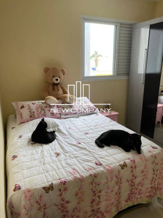 Imagem Casa com 3 Quartos à Venda, em Vila Pires - Santo André Imagem Casa com 3 Quartos à Venda, em Vila Pires - Santo André