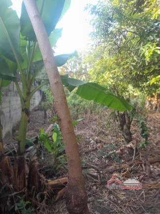 Imagem Terreno à Venda, 2 m² em Jardim Califórnia - Jacareí