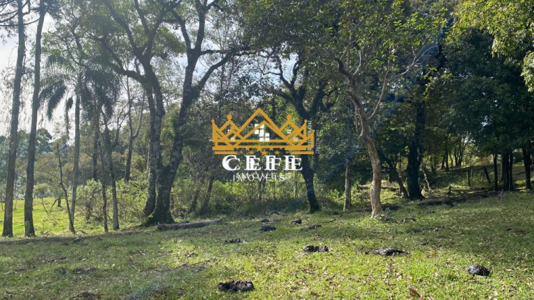 Imagem Sala Comercial à Venda, 20 m² em Zona Rural - Igrejinha Imagem Sala Comercial à Venda, 20 m² em Zona Rural - Igrejinha