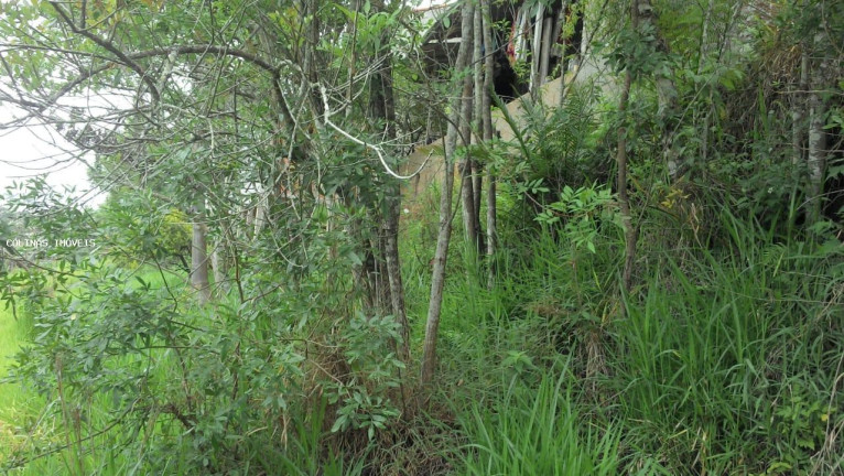 Imagem Terreno à Venda, em Antes Do Centro - Ibiúna Imagem Terreno à Venda, em Antes Do Centro - Ibiúna