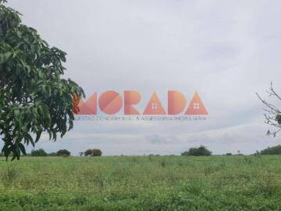 Imagem Fazenda à Venda, 2.700 m² em Zona Rural - Morpará Imagem Fazenda à Venda, 2.700 m² em Zona Rural - Morpará