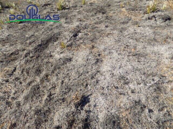 Imagem Terreno à Venda, 853 m² em Viamão Imagem Terreno à Venda, 853 m² em Viamão