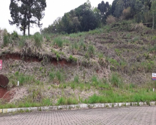 Imagem Imóvel à Venda, 455 m² em Piá - Nova Petrópolis Imagem Imóvel à Venda, 455 m² em Piá - Nova Petrópolis