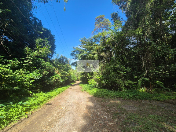 Imagem Terreno à Venda, 300 m² em Maresias - São Sebastião Imagem Terreno à Venda, 300 m² em Maresias - São Sebastião