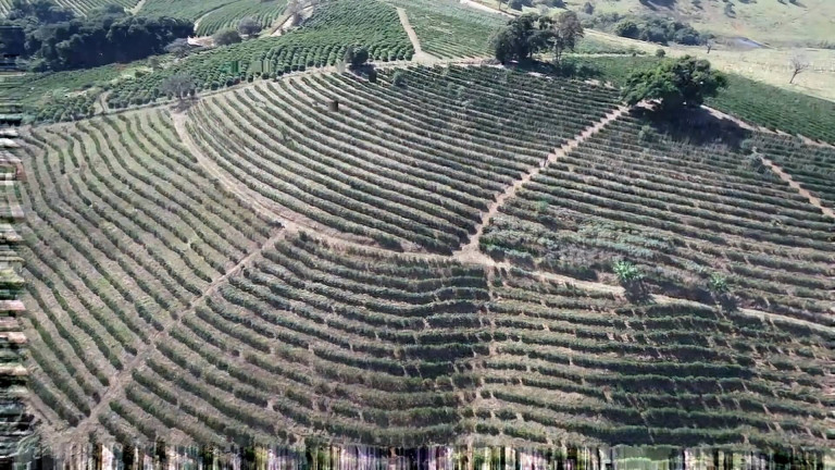 Imagem Fazenda à Venda, 31 m² em Poços De Caldas Imagem Fazenda à Venda, 31 m² em Poços De Caldas