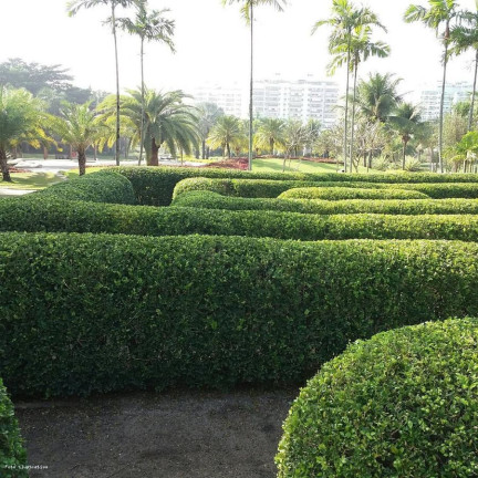 Imagem Apartamento com 3 Quartos à Venda, 100 m² em Barra Da Tijuca - Rio De Janeiro Imagem Apartamento com 3 Quartos à Venda, 100 m² em Barra Da Tijuca - Rio De Janeiro