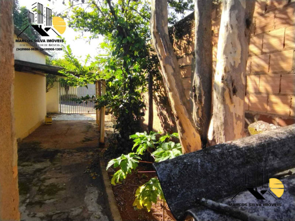 Imagem Casa com 3 Quartos à Venda, 300 m² em Segismundo Pereira - Uberlândia Imagem Casa com 3 Quartos à Venda, 300 m² em Segismundo Pereira - Uberlândia