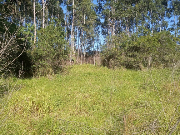 Imagem Chácara à Venda, 29.000 m² em Pimenta - Viamão