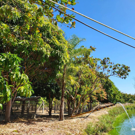 Imagem Chácara à Venda, 1 m² em Cuiabá Imagem Chácara à Venda, 1 m² em Cuiabá
