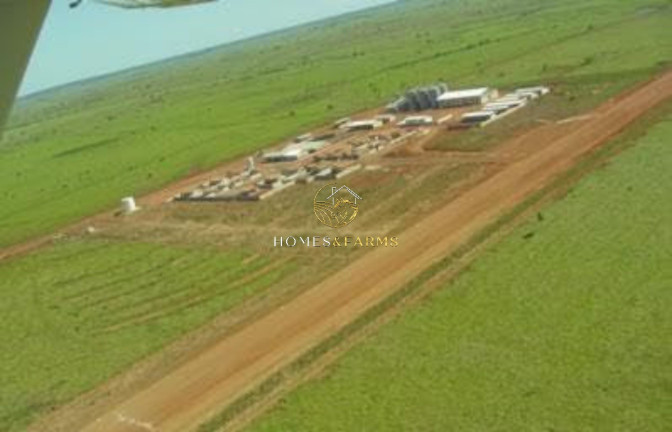 Imagem Imóvel com 4 Quartos à Venda, 103.000 m² em Zona Rural - Porto Alegre Do Norte Imagem Imóvel com 4 Quartos à Venda, 103.000 m² em Zona Rural - Porto Alegre Do Norte