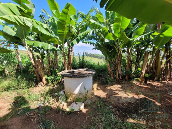 Imagem Chácara com 4 Quartos à Venda, 90 m² em Recanto Bosque - Socorro Imagem Chácara com 4 Quartos à Venda, 90 m² em Recanto Bosque - Socorro