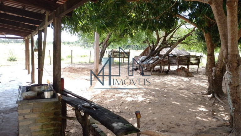 Imagem Fazenda à Venda, 29 m² em Almas - Arraias Imagem Fazenda à Venda, 29 m² em Almas - Arraias