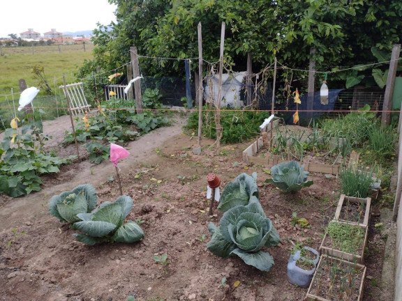 Imagem Casa com 3 Quartos à Venda, 74 m² em Feller - Tijucas Imagem Casa com 3 Quartos à Venda, 74 m² em Feller - Tijucas