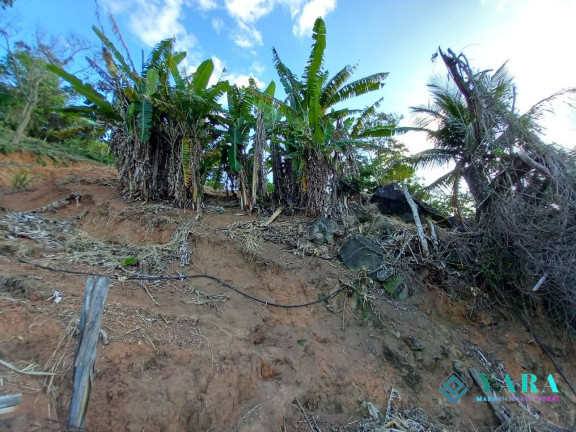 Imagem Terreno à Venda, 4.275 m² em Praia Grande - Ilhabela