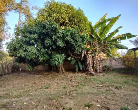 Imagem Chácara com 1 Quarto à Venda, 80 m² em Aponiã - Porto Velho Imagem Chácara com 1 Quarto à Venda, 80 m² em Aponiã - Porto Velho
