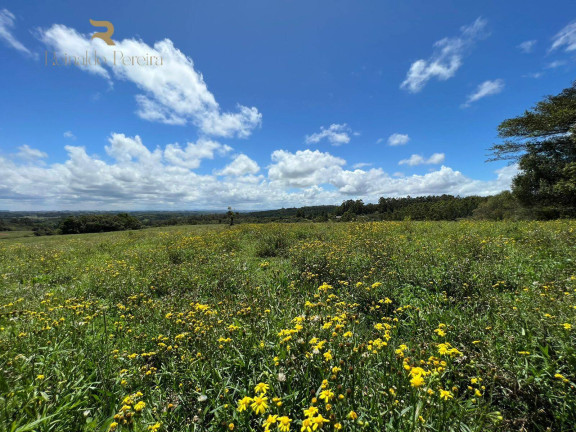 Imagem Chácara à Venda, 5.000 m² em Fiuza - Viamão Imagem Chácara à Venda, 5.000 m² em Fiuza - Viamão