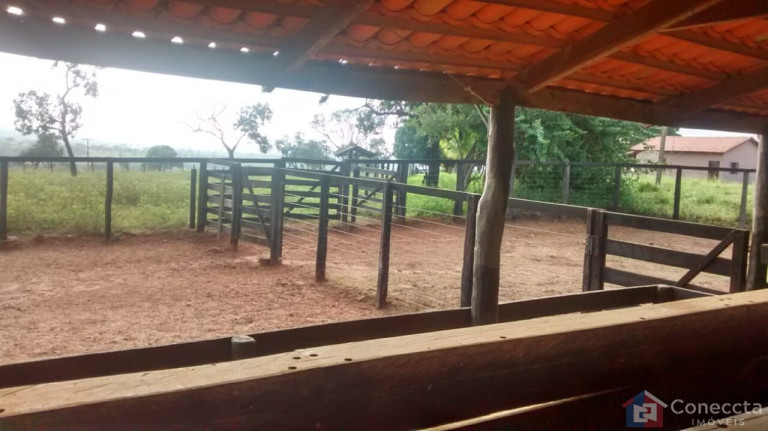 Imagem Imóvel à Venda, 8.080.000 m² em Centro - João Pinheiro